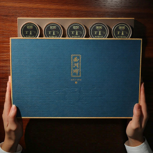 XI HU BRAND | New Pre-Ming Dragon Well Green Tea Grade One 120g