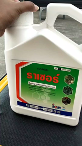 ลัดดา ราเซอร์ ขนาด 4 ลิตร อะซีโทคลอร์ อะเซโทคลอร์ คุมหญ้า คุมแห้ง คุมหญ้าใบแคบ ใบกว้าง แห้วหมู ในมันสำปะหลัง อ้อย ข้าวโพด (ก่อนงอก) นาน 3 เดือน npkplant