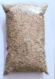 benih padi beras merah padi bogor banung unggul 500 gram