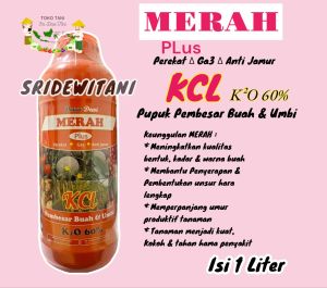 Pupuk MERAH KCL // DEWA DEWI Cair Pembesar Buah & Umbi 1 Liter