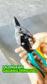 FEIBAO Gunting Seng Baja Ringan 10 Inch Kiri Kanan Lurus | Aviation Snip Pemotong Plat Presisi. 