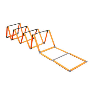 SO NICE | Speed and Agility Training Ladder
