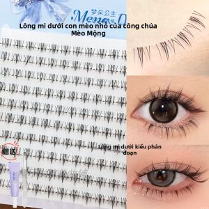 Miếng Dán Mi Giả Dream Princess Cat Lady 10 Hàng Tự Nhiên Dễ Sử Dụng Cho Phụ Nữ Miếng Dán Mi Giả Có Độ Dày Nhiều Lớp