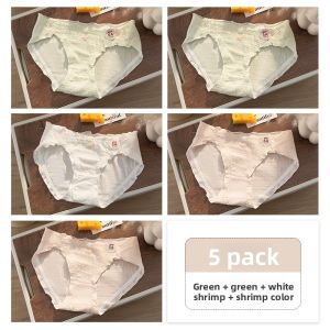 JIAZINI | Antibacterial Cotton Underwear for Girls 100% Cotton Autumn/Winter