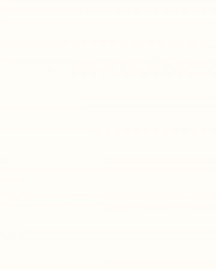 One Set Wanita Kekinian (Blouse Coffe - Rok Polos - Pasmina) Setelan OOTD Casual Hijab HO134M