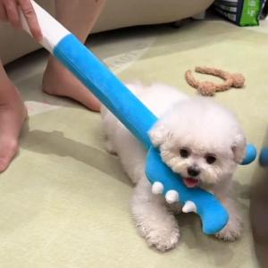 Hapetjoy Dog Toy Plush Interactive Chew Stick Toy for Puppies Durable Dog Teaser Toy Dog Entertainment Fatigue Self Amusement