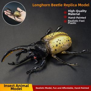 Educational Insect Model Educational Toy