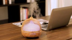 เครื่องพ่นไอน้ำ กรงนก 550ml เครื่องพ่น เครื่องฟอกอากาศ เครื่องพ่น, ปรับอากาศให้สดชื่น ตั้งเวลาได้ LED Humidifier