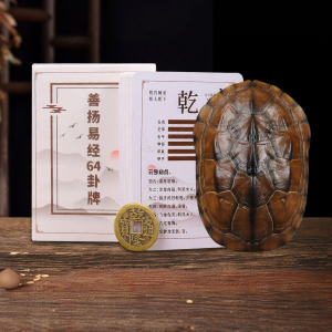 SHANYANG | Genuine Turtle Shell Divination Tool for I Ching Reading