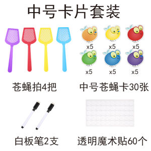 Fly Shooting Game Blank Wipable Write Card High Frequency Words Swatter Game English Teaching Aid Toys Early Childhood Education