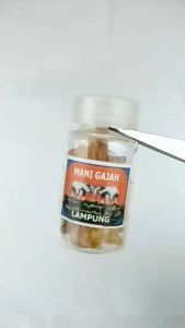 Batu Mineral Mani-Gajah Putih Kristal Asli Lampung Per Botol