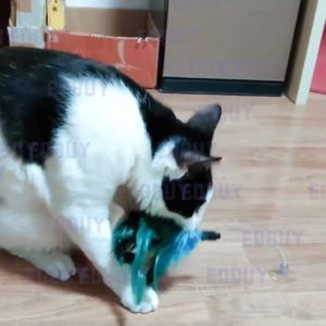 MEOW Elastic Spring Mouse And Feather Cat Kitten Toy Kucing Mainan Bulu Cat play Cat Teaser Wand Teaser Feather Fun Toy