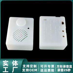 Cute Single Button Recording Box: A Kindergarten Recorder for Kids Creative DIY