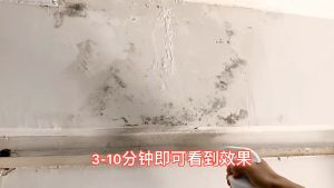 500ML Semprotan Penghilang Jamur Dinding Pembersih Kulat Kotoran Dinding Semprotan disinfektan kabinet