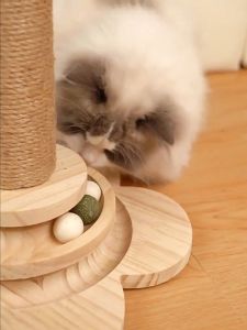 Cat Treat Dispenser Toy with Turntable Track Ball Interactive Cat Toys for Indoor Cats Kitten Wooden Cat Toy