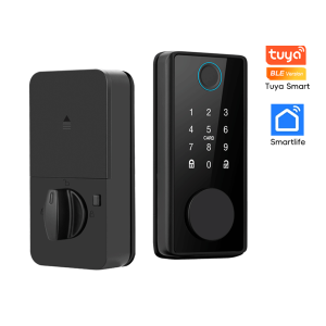 RAYKUBE DS01 4-language Tuya Smart Fingerprint Deadbolt Lock with Latch/Door Sensor Auto Lock Key/Password/Card/ Tuya APP Unlock