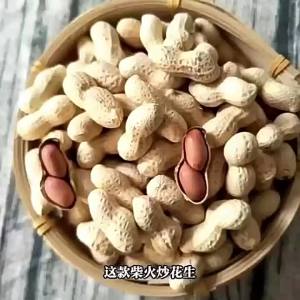 Wood Fire Roasted Natural Peanuts Snacks