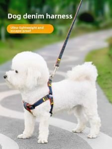 VOA | Dog Leash and Collar for Puppies and Pets