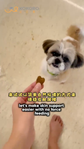 Kokoro FurVita Dog Skin & Coat Soft Chew 30 Tablets | 狗狗皮肤与毛发护理软咀嚼 |