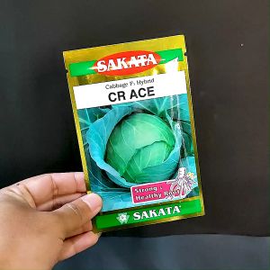 BENIH KUBIS HIBRIDA CR ACE 10 GRAM - SAKATA KUBIS TAHAN AKAR GADA