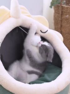 Cat Bed Cartoon Pet Bed Foldable Removable Washable Pet Sleeping Bed for Cat Dog House