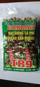 1 KG HẠT GIỐNG CÀ PHÊ VỐI CAO SẢN ROBUSTA TR9 [ ]. HẠT ĐẸP TUYỂN CHỌN BAO NẢY MẦM ĐÓNG GÓI KỸ HÚT CHÂN KHÔNG NHƯ HÌNH  Ạ