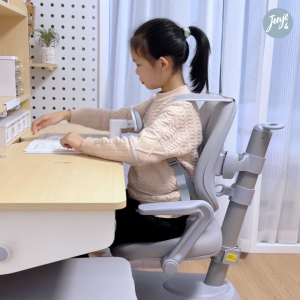 Kids Ergonomic Chair (Ergo Adjustable Chair in Multiple Colors for Children)