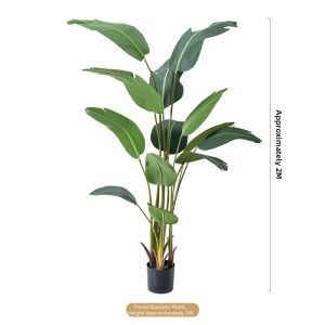 LIANYOU | High-end Luxury Decorative Plant Travelers Palm