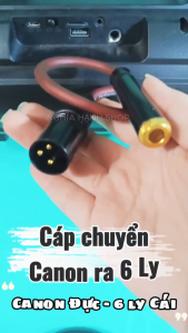 Dây Canon Đực ra 6 Ly Cái dài 30 cm cao cấp - Cáp chuyển Canon ra 6 Ly - Dây chuyển Canon ra Jack 6.5
