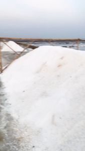 GARAM IKAN KRISTAL MURNI SUPER PREMIUM ASLI MADURA MENCEGAH DAN MENGOBATI IKAN SAKIT by Berritz