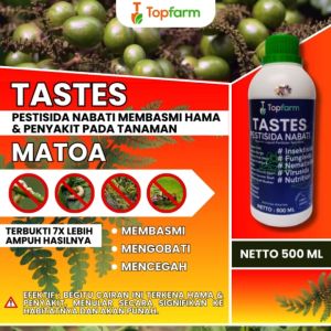 Obat Semprot Buah Matoa: Solusi Optimal untuk Perlindungan Tanaman