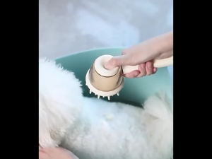 2in1 Pet Bath Brush With Shampoo Dispenser Soft Silicone Non-Slip Long Handled Grooming Comb Dog Cat Bath Massage Comb