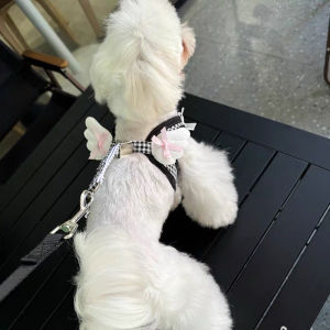 Small Wings Pet Chest Strap Dog Leash Set Teddy Bichon Outdoor Walking Rope Harness for Small Dogs Customizable Handmade Design