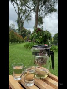 Teh Putih Premium White Tea Silver Needle 25 gram