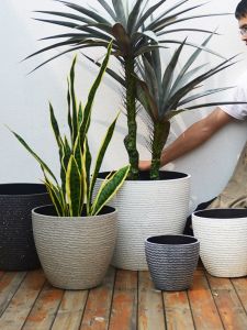 Extra Large Plastic Flower Pot Imitation Cement Floor Deep High Basin Nordic Simple Thickened Pachira Macrocarpa Large Diameter Resin Basin