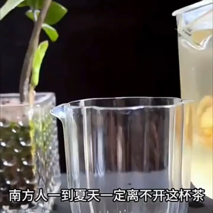 【SG Inventory】Summer heat refreshing tea lemon mint honeysuckle tea fruit tea bags