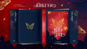 นิยายวาย เมียฉาว รอบจองของครบ มีจำนวนจำกัด ไม่มีรีพรินต์