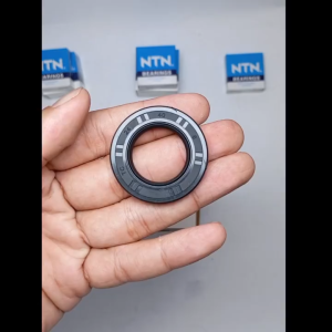 Seal TC 24 40 6 Nok INB Original Nok