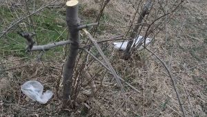 HP302เลื่อยตัดแต่งกิ่งเลื่อย sk5 เลื่อยตัดแต่งกิ่ง ซองปืน สินค้าคุณภาพ