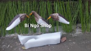 Cò cói xốp cò mã tháng 8 xốp