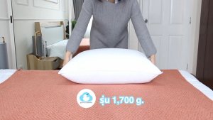 Lazy Duck Heaven หมอนขนเป็ดเทียม ขนาด 1700g