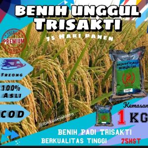 Benih Padi UNGGUL TRISAKTI BERKUALITAS Kemasan 1Kg