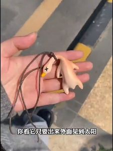 【3pcs】变色烤鸭Car Color Changing Roasted Duck Funny UV Color Change Duck Creative Car Interior Ornament Friend Gift 会变色的烤鸭