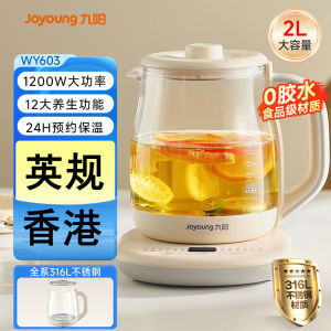 220V UK Standard Large Capacity 2L 316 Stainless Steel Smart Appointment English Regulation Health Tea Pot with Plug