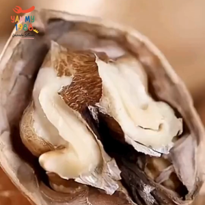 Yummy1988😋พร้อมส่ง💯 วอลนัทอบ หัวสมอง 500กรัม วลอนัท Walnuts ลูกวอลนัทอบแห้งสูตรดั้งเดิม เปลือกบางพิเศษ ถั่วและธัญพืช วอลนัท