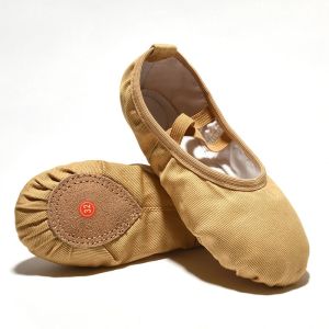 No-Tie Soft-Soled Ballet Dance Shoes Womens Practice Shoes Yoga Exam Shoes Adult Shoes Childrens Performance Slip-On Flats