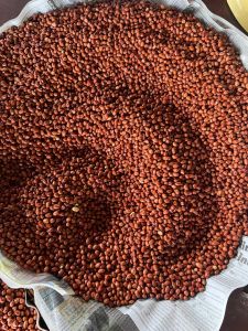 🔥ถั่วลิสงคั่ว (อร่อย) หอมๆ🔥