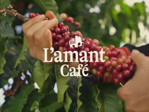 Cà Phê Hòa Tan L’amant Espresso – Không Đường Đậm Vị Tiện Lợi Đúng Gu – Hộp 100 gói x 2.5g