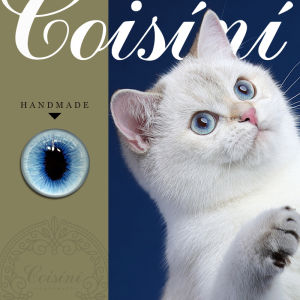 Mắt Mèo Thủ Công DIY Bằng Vải Lông Cừu Mô Phỏng Mắt Động Vật Bằng Thủy Tinh Lớp Bạc Tự Làm Đồ Chơi