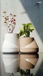 Hill Pot ขนาด L กระถางต้นไม้แบบรดน้ำอัตโนมัติ ไม่ต้องรดน้ำบ่อย Qualy (ควอลี่)